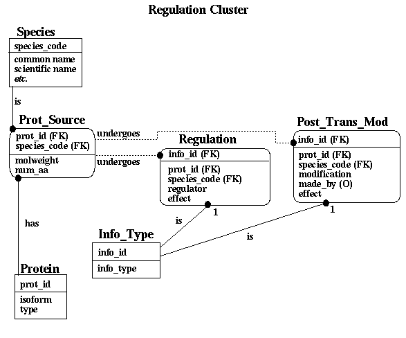 information about CaBP
regulation in the database supporting the EF-hand CaBP DL