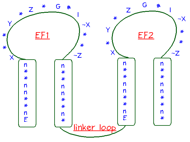 EF-Hand Motif Map