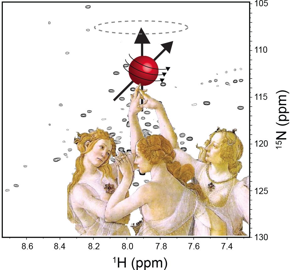 NMR_Ren